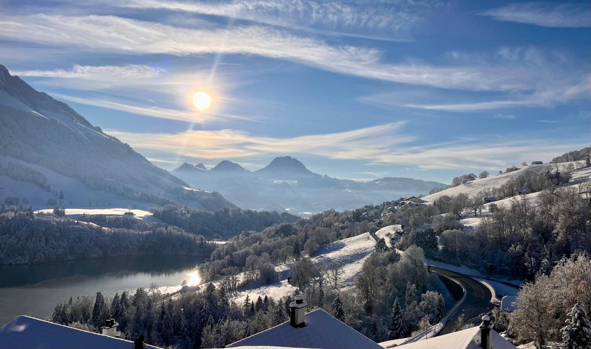 Chalet Les Ecureuils Apartment Penthouse Suite Cresuz エクステリア 写真